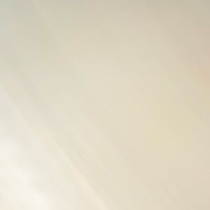 Meet your Posher, Faith